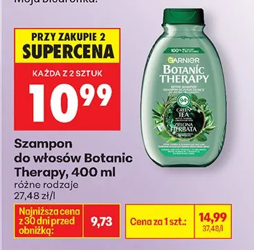 Szampon do włosów Botanic Therapy różne rodzaje promocja w Biedronka