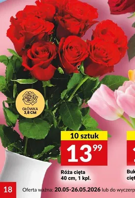 Róża cięta 40cm główka 3,8cm 10-pak promocja w Twój Market