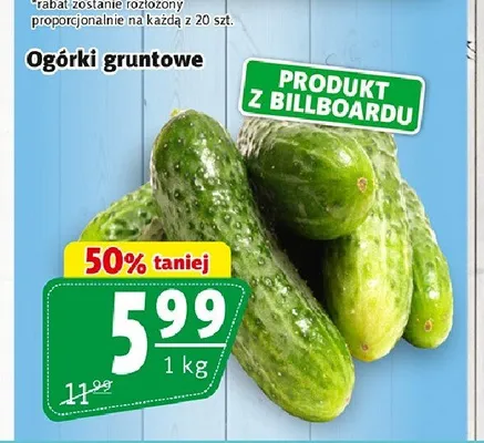 Ogórki gruntowe promocja w Prim Market