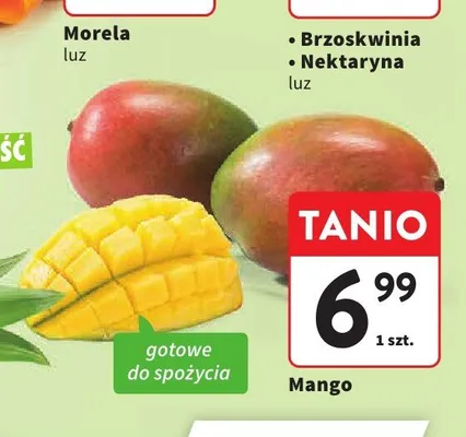 Mango promocja w Intermarche