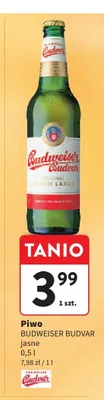 Piwo Budweiser Budvar Jasne promocja w Intermarche