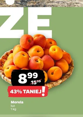 Morela luz promocja w Netto