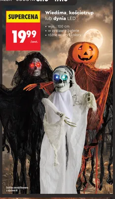 Wiedźma LED promocja w Biedronka