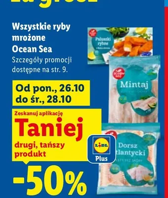 Paluszki rybne Ocean Sea promocja w Lidl
