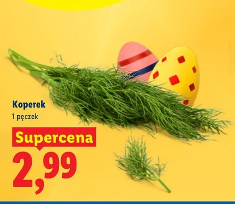 Koperek promocja w Lidl
