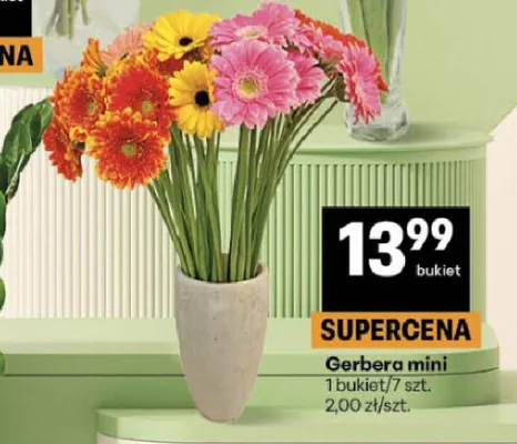 Gerbera mini promocja w Delikatesy Centrum