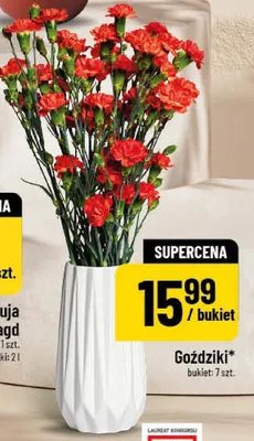 Goździki promocja w POLOmarket