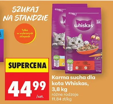 Karma sucha dla kota Whiskas promocja w Biedronka
