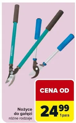 Nożyce do gałęzi różne rodzaje promocja w Carrefour