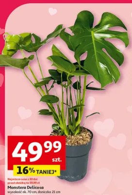 Gazetka 30 Lat Hipermarket Auchan, strona 13 promocja w Auchan