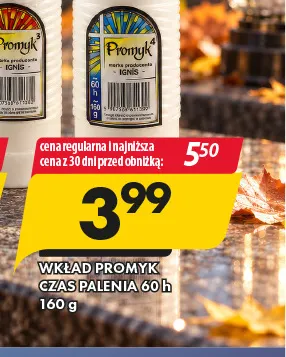 Wkład Promyk czas palenia 60h promocja w Prymus AGD