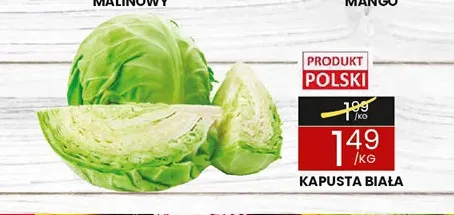 Kapusta biała promocja w Wafelek