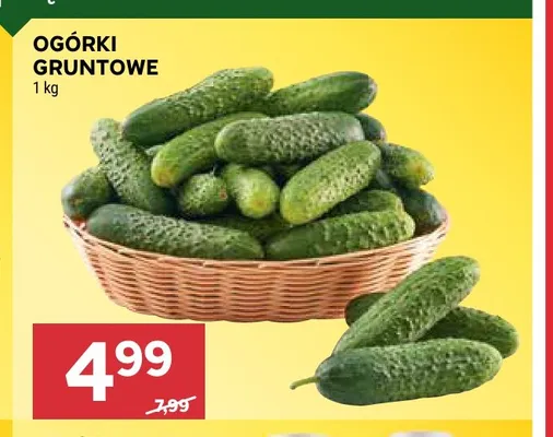 Ogórki gruntowe promocja w Stokrotka