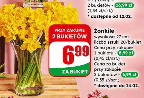 Żonkile promocja w Dino