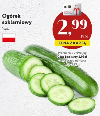 Ogórek szklarniowy polski promocja w Market Point