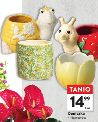 Doniczka - mix wzorów promocja w Intermarche