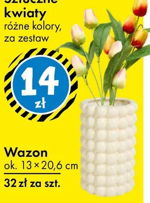 Wazon promocja w Tedi