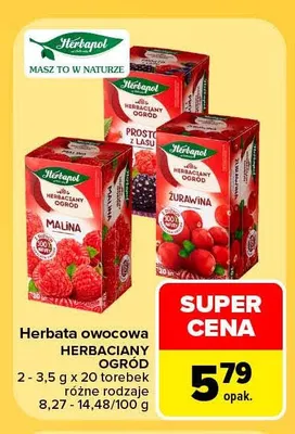 Herbata owocowa Herbapol Herbaciany Ogród promocja w Carrefour