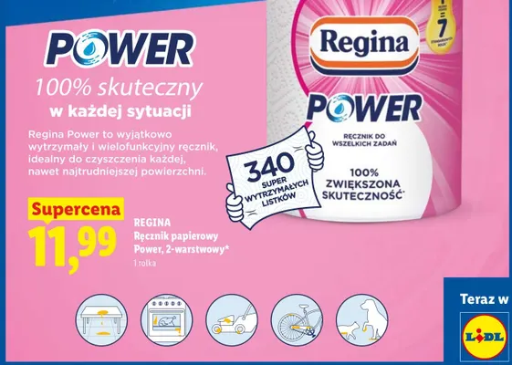 Ręcznik papierowy Regina Power 2-warstwowy promocja w Lidl