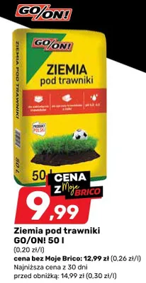 Ziemia pod trawniki 50 l promocja w Bricomarche