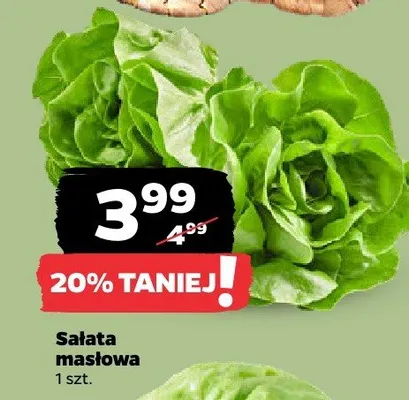 Sałata masłowa promocja w Netto