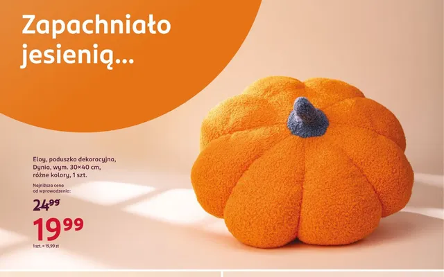 Poduszka dekoracyjna Dynia 30x40 cm Eloy promocja w Rossmann