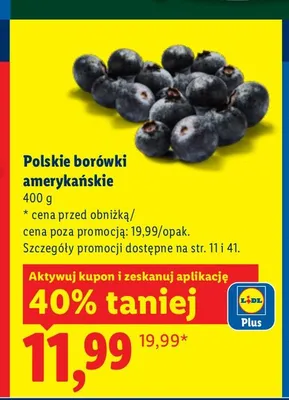 Borówki amerykańskie polskie promocja w Lidl