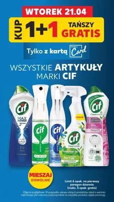Środki czystości wszystkie promocja w Kaufland