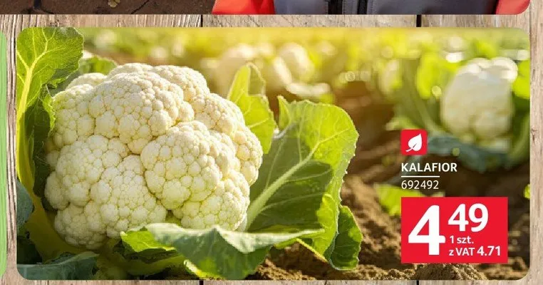 Kalafior promocja w Selgros