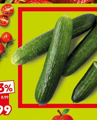 Ogórek szklarniowy promocja w Kaufland
