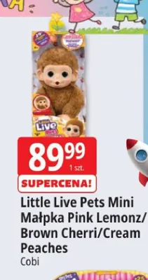 Mini Małpka Brown Cherri Little Live Pets promocja w Leclerc
