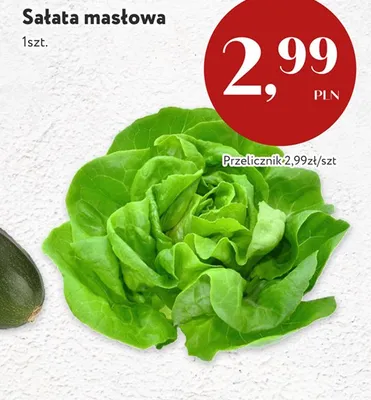 Sałata masłowa promocja w Market Point