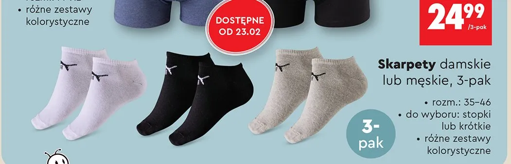 Skarpety damskie / męskie 3-pak promocja w Biedronka