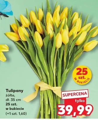 Tulipany żółte dł. 35 cm Kaufland promocja w Kaufland