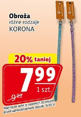 Obroża promocja w Prim Market