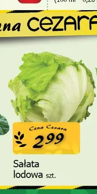 Sałata lodowa promocja w CEZAR Delikatesy