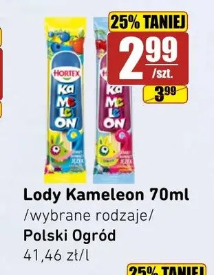 Lody Kameleon Hortex Polski Ogród promocja w API Market
