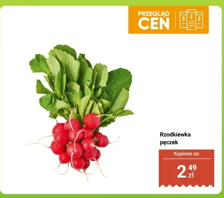 Rzodkiewka pęczek promocja w Biedronka
