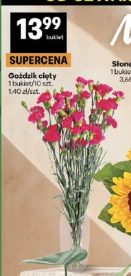 Goździk cięty promocja w Delikatesy Centrum
