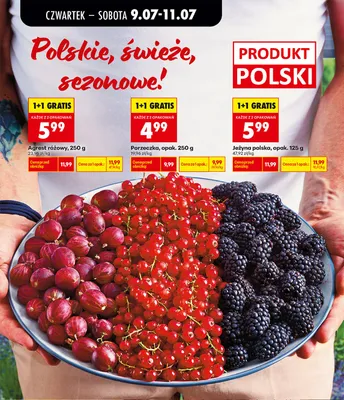 Porzeczka promocja w Biedronka