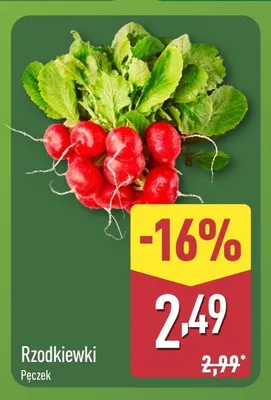 Rzodkiewki promocja w Aldi