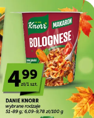 Danie Knorr promocja w Groszek
