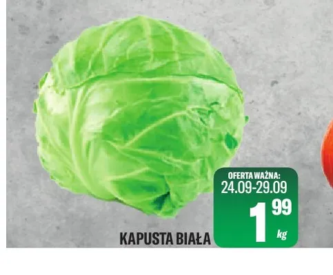 Kapusta biała promocja w Tomi Markt