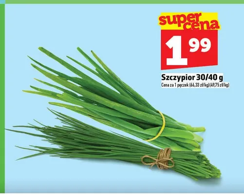 Szczypior promocja w TOPAZ