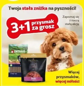 Przysmak dla psa Ontario promocja w Super Zoo