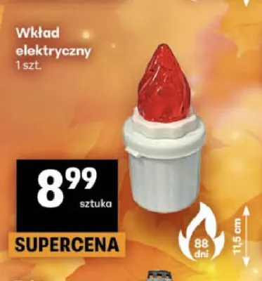 Wkład elektryczny promocja w Delikatesy Centrum