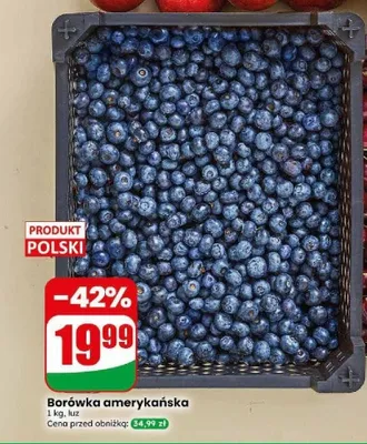 Borówka amerykańska polska promocja w Dino