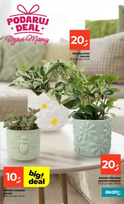 Doniczka w białe stokrotki Ø 14cm, wys. 14cm promocja w Dealz