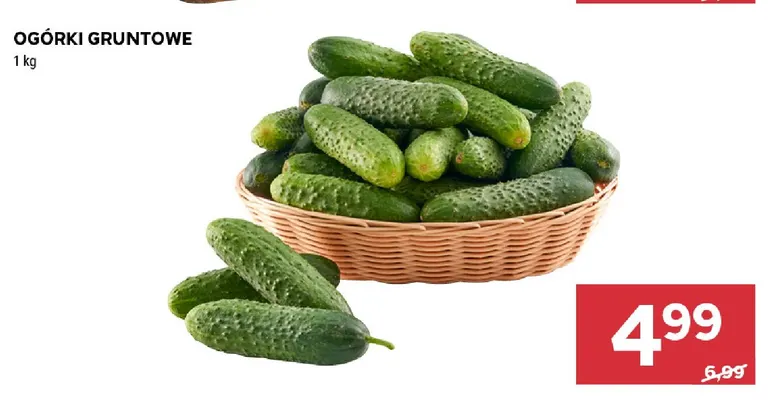 Ogórki gruntowe promocja w Stokrotka