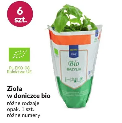 Zioła w doniczce bio promocja w Makro